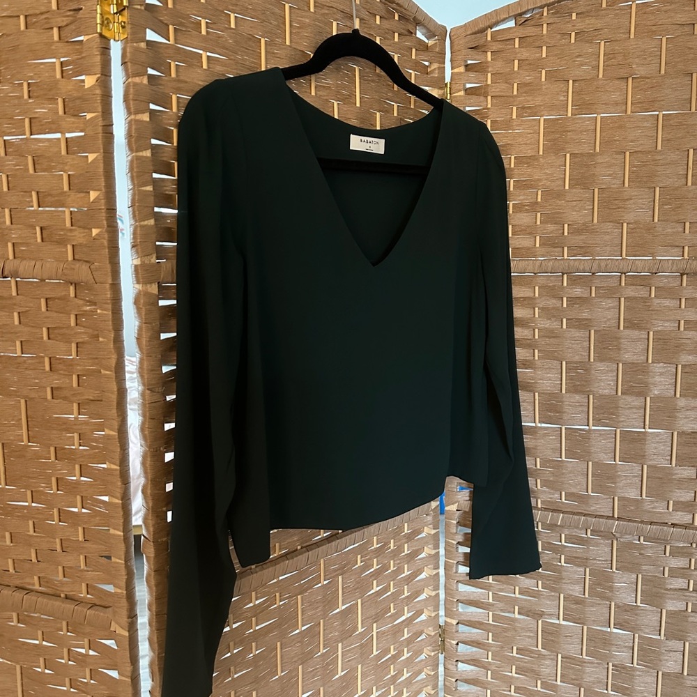 ARITZIA Murphy Longsleeve Blouse